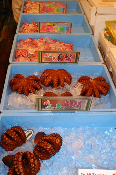 tokyo13 (18)