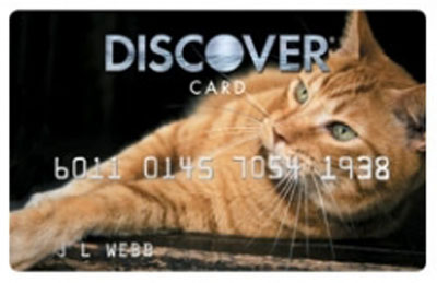 Discover-Cat-2009
